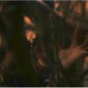 heretic_56