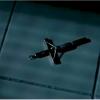 legion_154