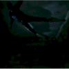 legion_155