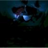 legion_188