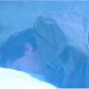 legion_202