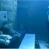 legion_203