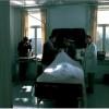 legion_46