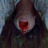 the-exorcist-250