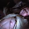 the-exorcist-353